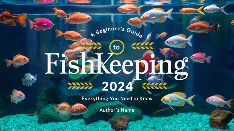 A Beginner's Guide to Fishkeeping 2024 Everything You Need to Know