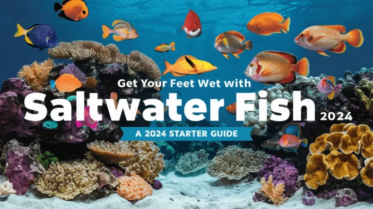 Get Your Feet Wet With Saltwater Fish A 2024 Starter Guide